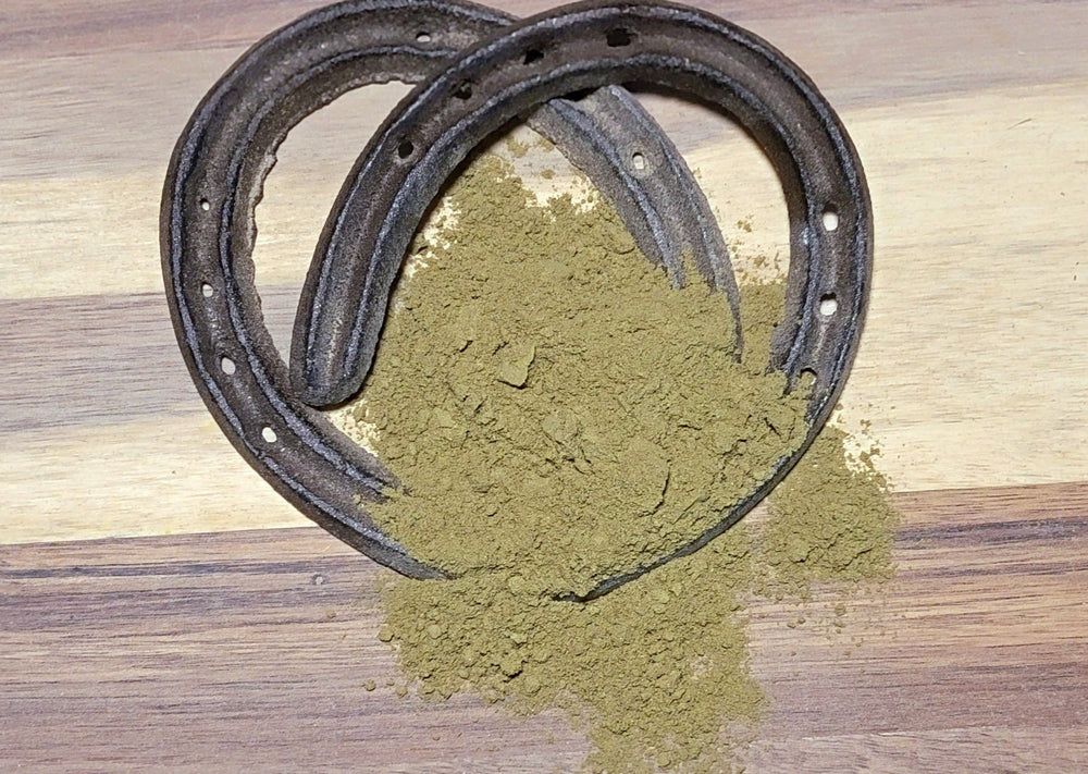 Powdered Ginkgo Biloba Green For Horses