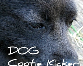 
                  
                    Load image into Gallery viewer, DOG- Cootie Kicker
                  
                